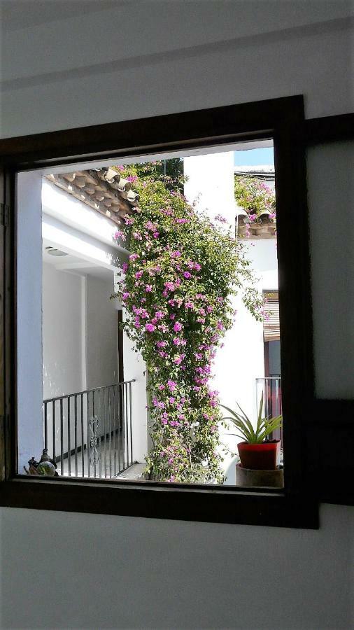 Lola5 Apartman Córdoba Kültér fotó